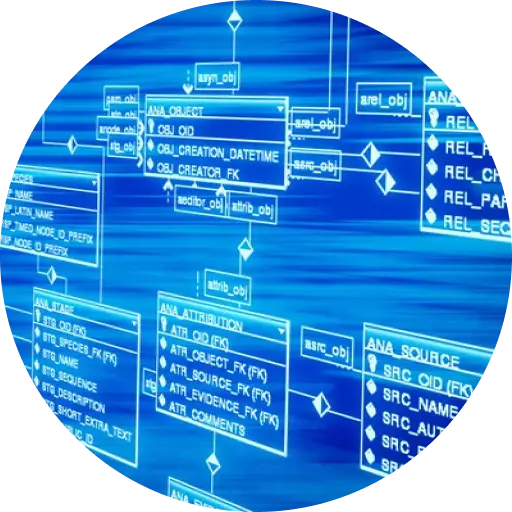 Ispezione delle basi di dati